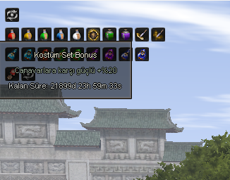 Kostüm Set Bonus